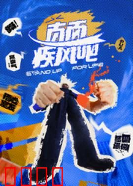 直面疾风吧：逆风飞翔的勇气
